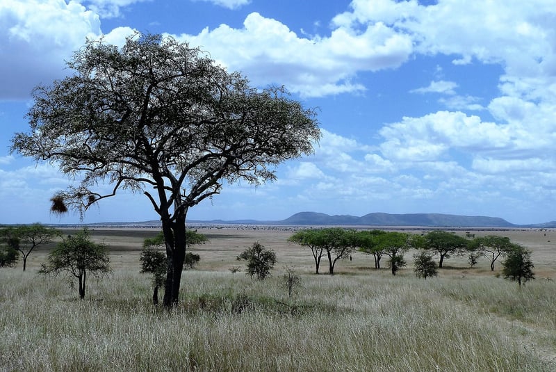 Serengeti National Park